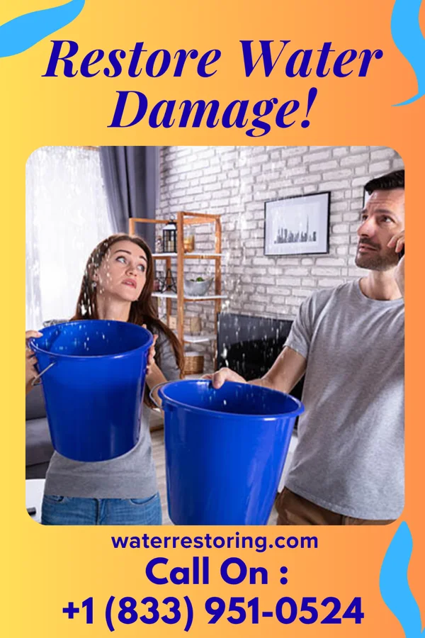water restoration Pro Disaster Recovery Contractors Allentown
