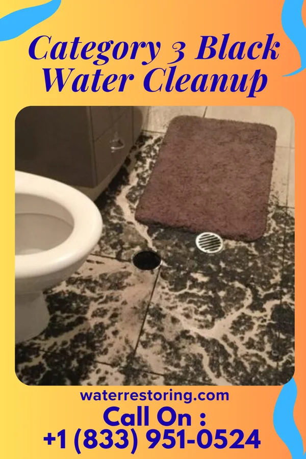Category 3 Black Water Cleanup in Allentown, NJ