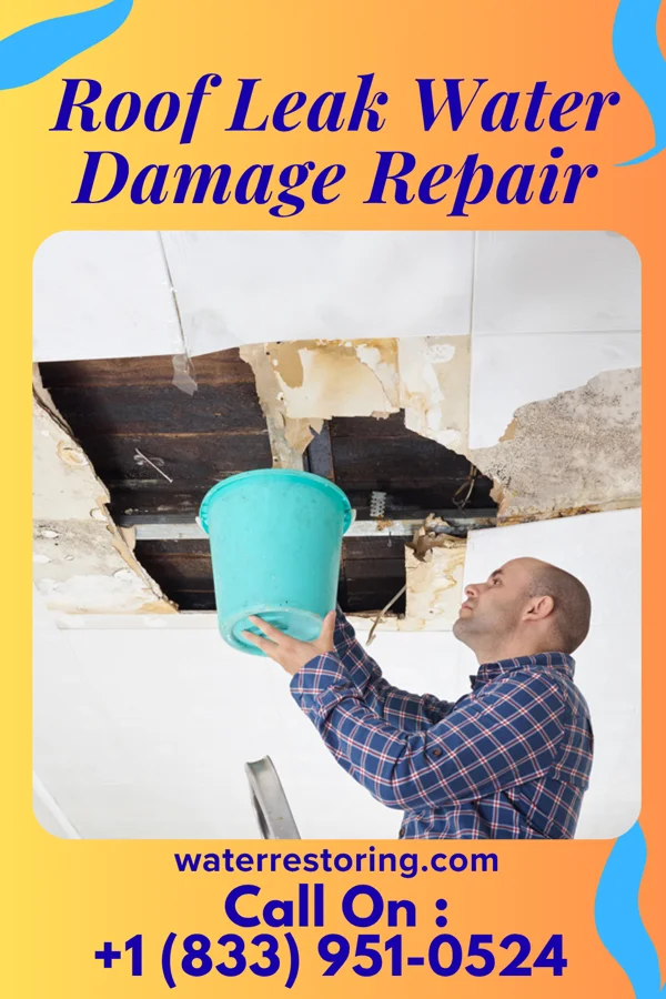 Roof Leak Water Damage Repair in Allentown, NJ