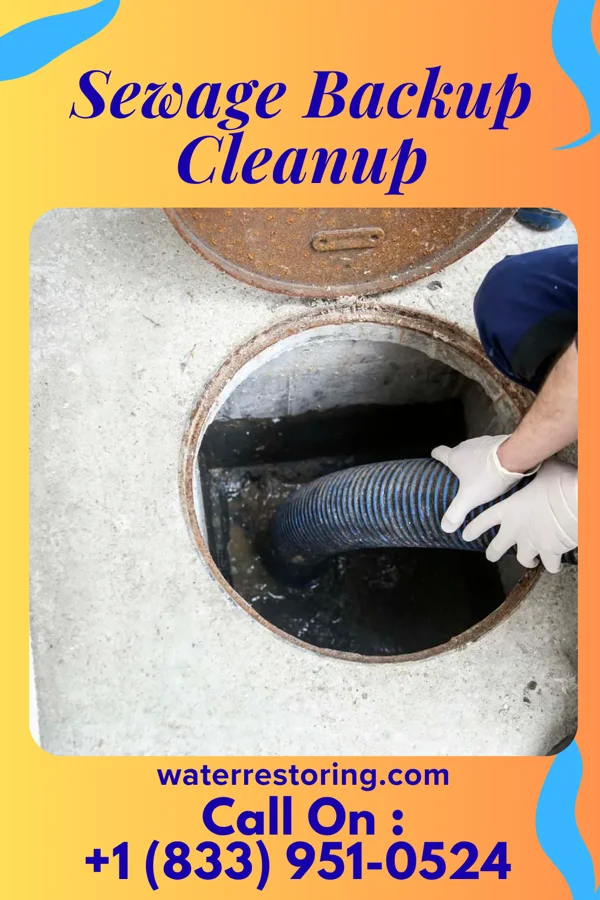 Sewage Backup Cleanup in Allentown, NJ