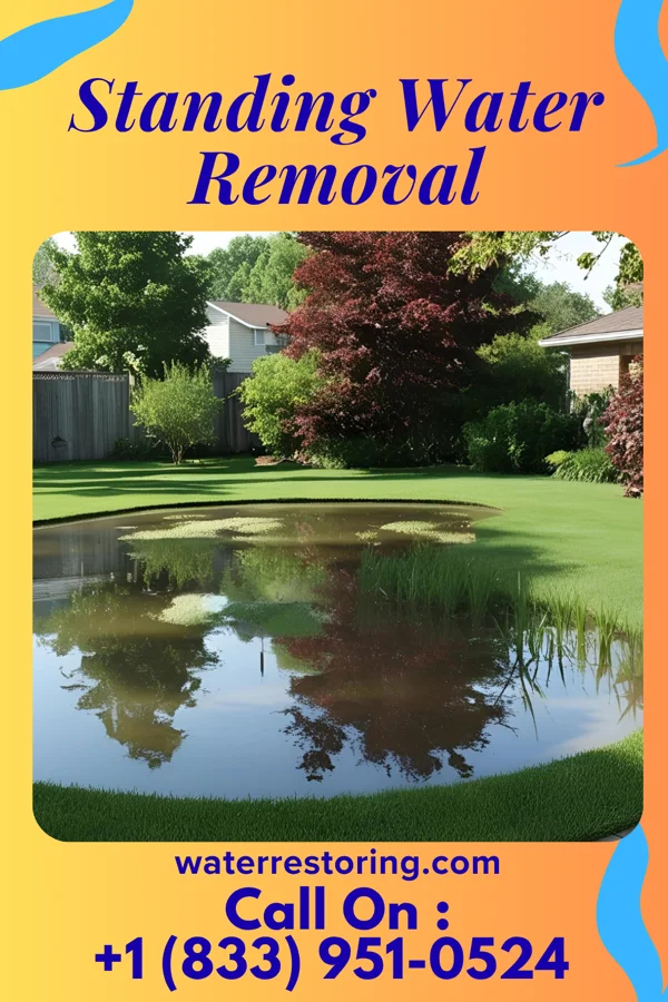Standing Water Removal in Allentown, NJ